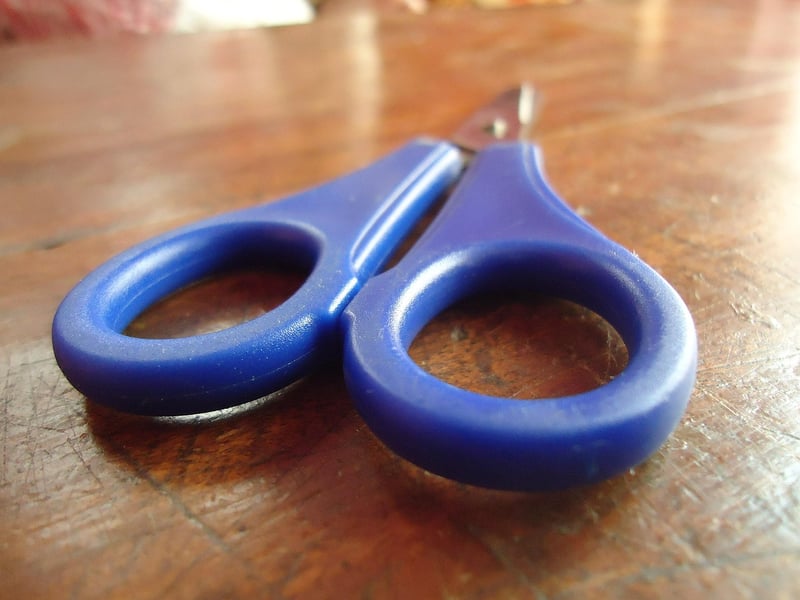 Enchanted Pruning Shears