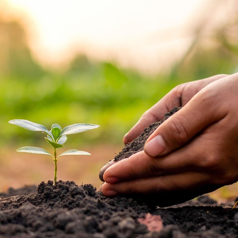Magic Seed Starter Kit